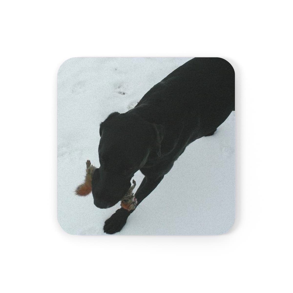 Personalised Pet Coaster