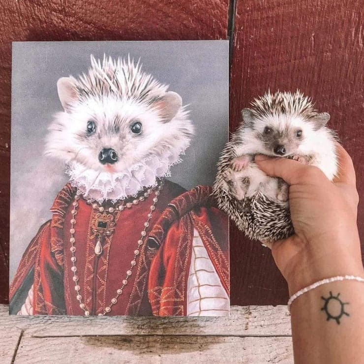 Lucy's personalised pet portrait