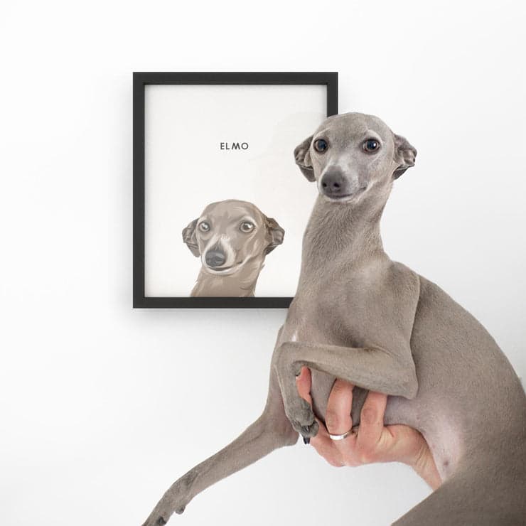 Bryan's personalised pet portrait
