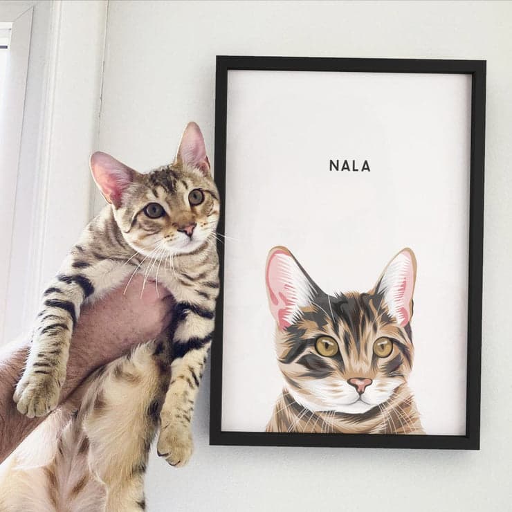 Isabella's personalised pet portrait of Nala