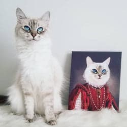 A gallery wall of framed pet portraits